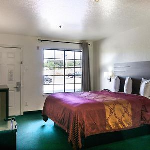 Premium King Room